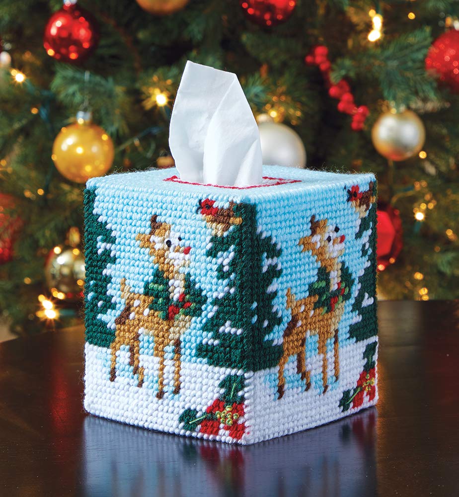 Amazon.com: MARY MAXIM Plastic Canvas Tissue Box Kit 5